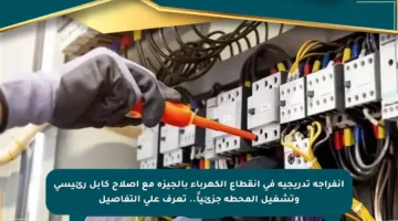 انفراجة تدريجية في انقطاع الكهرباء بالجيزة مع إصلاح كابل رئيسي وتشغيل المحطة جزئياً.. تعرف على التفاصيل